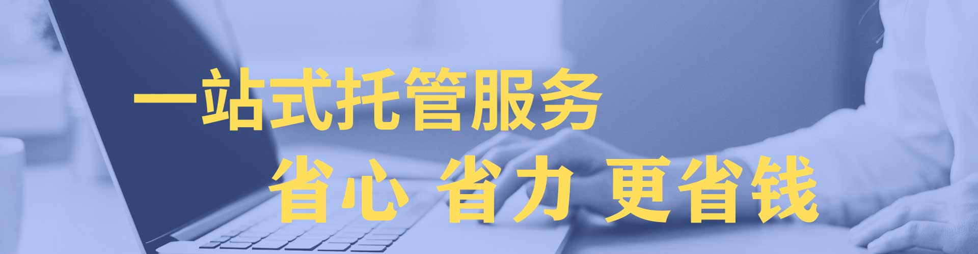 平鲁sem专员